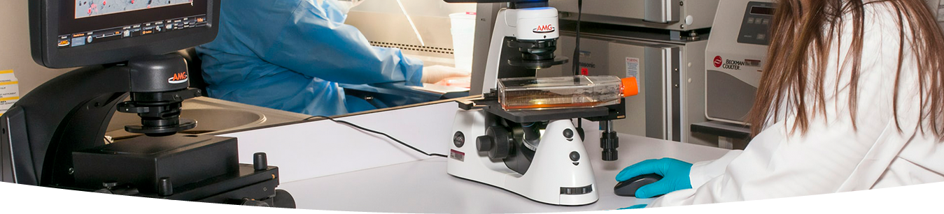 Imaging-Core-Laboratory-Banner